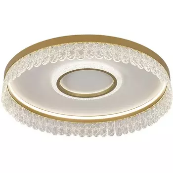 Потолочный светодиодный светильник круглый с пультом F-Promo Lunetta 4186-2C с подвесками