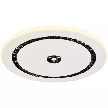 Потолочный светодиодный светильник круглый F-Promo Skiva 4433-1C