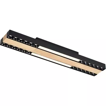 Потолочный светодиодный светильник F-Promo Zebra 4440-2C