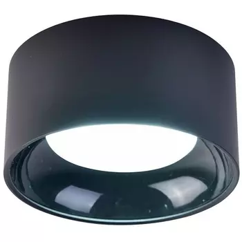 Потолочный светильник Favourite Rout 4210-1C