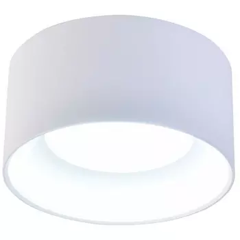 Потолочный светильник Favourite Rout 4211-1C