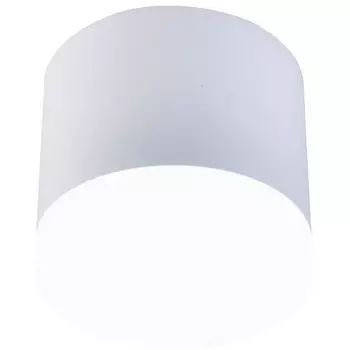 Потолочный светильник Favourite Soiree 4215-1C