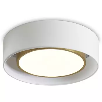 Потолочный светодиодный светильник круглый Freya Cozy FR6170CL-L52BS