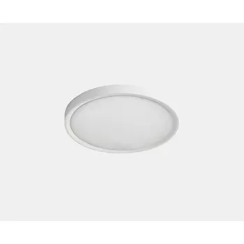 Потолочный светодиодный светильник круглый IP40 Italline IT011-5020 white