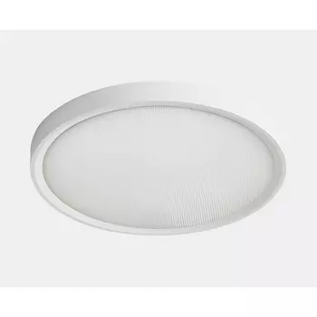 Потолочный светодиодный светильник круглый IP40 Italline IT011-5024 white