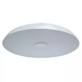 Потолочный светильник Канапе 708010409 (MW-Light)