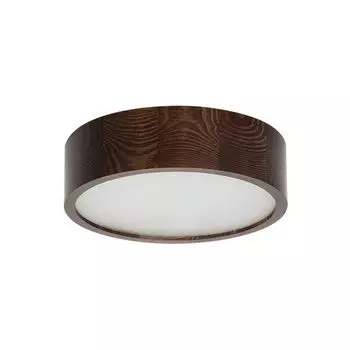 Потолочный светильник Kanlux Jasmin 23120