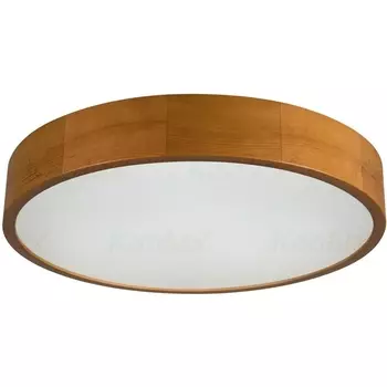 Потолочный светильник круглый Kanlux JASMIN 36442