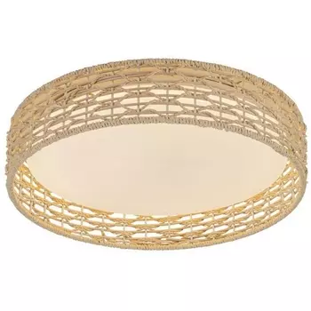 Потолочный светильник круглый LED F-Promo Conrad 4749-4C