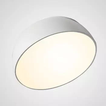 Потолочный светильник круглый LED Selden D30 White By ImperiumLoft Selden01 208112-23