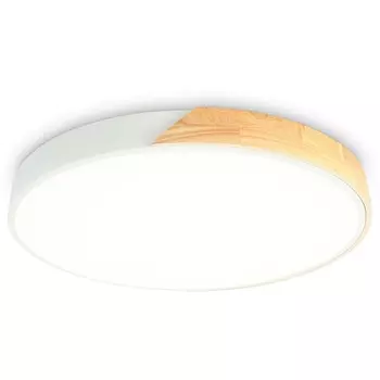 Потолочный светильник круглый светодиодный Ambrella Orbital FZ1301