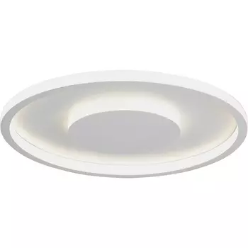 Потолочный светильник круглый светодиодный LED 58Вт, 3900-4200К Vitaluce V3891-0/2PL
