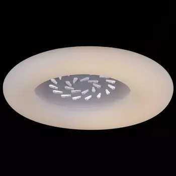 Потолочный светильник круглый светодиодный с пультом Reluce 09048-0.3-115W WT