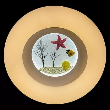 Потолочный светильник круглый светодиодный с пультом Reluce 01023-0.3-01A