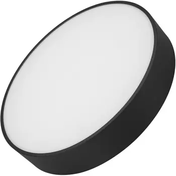 Потолочный светильник LED круглый SP-RONDO-R350-30W Day4000 (BK, 120 deg, 230V) (Arlight, IP40 Металл) 034811