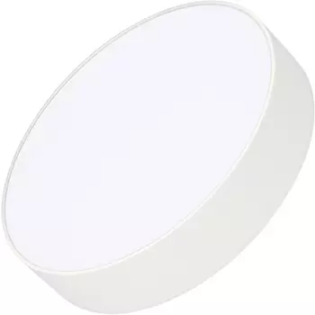 Потолочный светильник LED круглый SP-RONDO-R250-30W Day4000 (WH, 120 deg, 230V) (Arlight, IP40 Металл) 022232(2)
