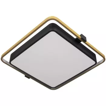 Потолочный светодиодный светильник Loft It Mike 10172