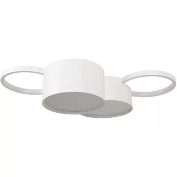 Потолочный светодиодный светильник Loft It Pin 10317/4 White