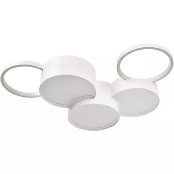 Потолочный светодиодный светильник Loft It Pin 10317/5 White