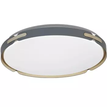 Потолочный светильник Lumina Deco Paneli LDC 8063-48W BL