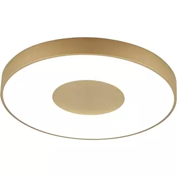 Потолочный светодиодный светильник круглый Mantra Coin 8036