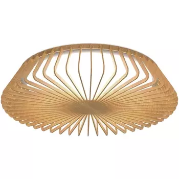 Потолочный светодиодный светильник круглый с пультом Mantra Himalaya 7967