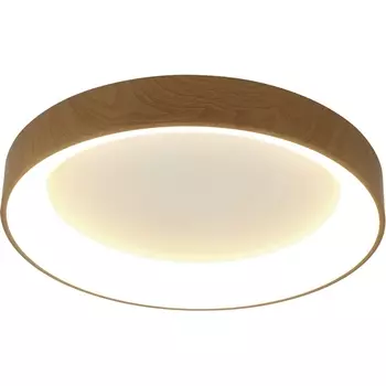 Потолочный светодиодный светильник круглый с пультом Mantra Niseko 8588