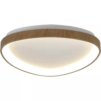 Потолочный светодиодный светильник с пультом Mantra Niseko 8636