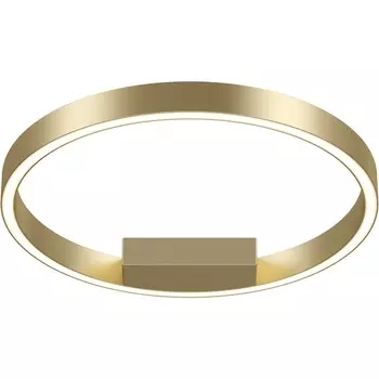 Потолочный светильник LED Maytoni Rim MOD058CL-L25BSK кольцо