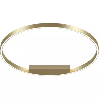 Потолочный светильник LED Maytoni Rim MOD058CL-L50BSK кольцо
