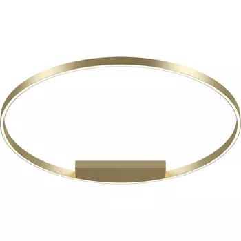 Потолочный светильник LED Maytoni Rim MOD058CL-L65BSK кольцо