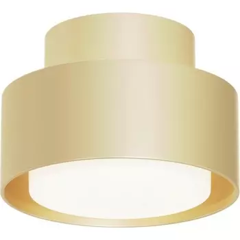 Потолочный светильник Maytoni Space C092CL-GX53-MG