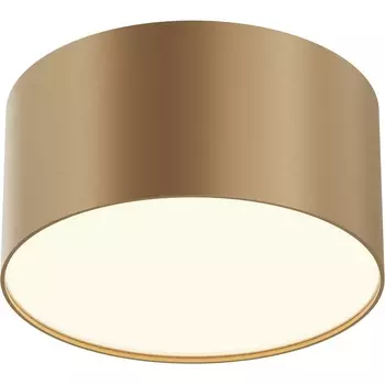 Потолочный светильник круглый LED Maytoni Zon C032CL-12W3K-RD-MG