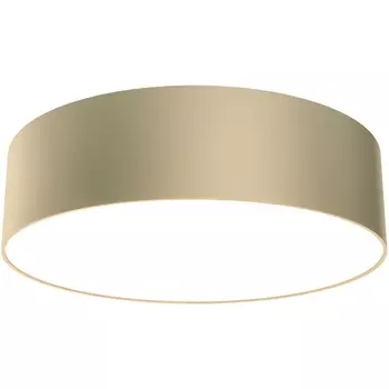 Потолочный светильник круглый LED Maytoni Zon C032CL-24W4K-RD-MG