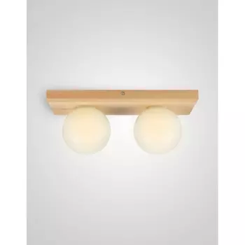 Потолочный светильник Мелодия Света SS1N 000036815