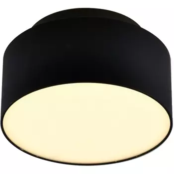 Потолочный светильник накладной ST Luce ST166.442.17 Черный LED 1*12+5W 4000K 1 190Lm