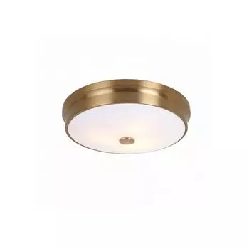 Потолочный светильник круглый Favourite Pannikin 2375-3C