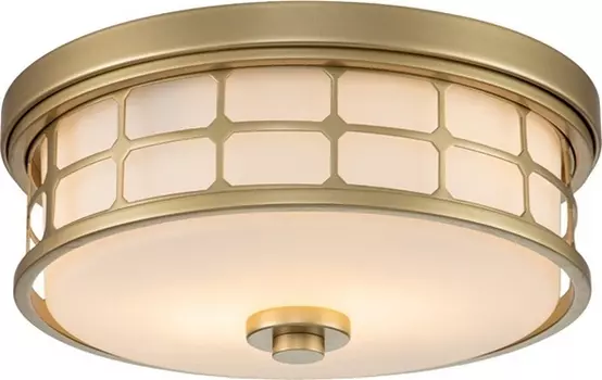 Потолочный светильник круглый влагозащищенный Quoizel Guardian QZ-GUARDIAN-F-PNBR