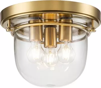 Потолочный светильник Quoizel Whistling QZ-WHISTLING-F-BB