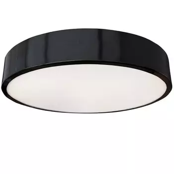 Потолочный светильник Seven Fires Эйри 48200.30.36.77BK