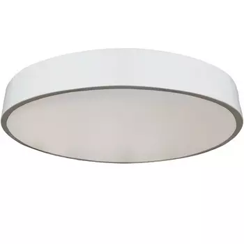 Потолочный светильник Seven Fires Эйри 48200.30.36.77WT