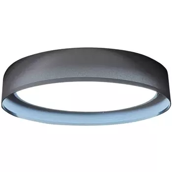 Потолочный светильник Seven Fires Лагом 48203.40.72.77BK-BK