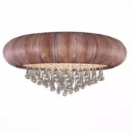 Потолочный светильник ST Luce Preferita SL350.582.12