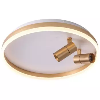 Потолочный светодиодный светильник круглый со спотами Zortes Raizy ZRS.1888.02