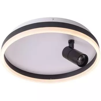 Потолочный светодиодный светильник круглый со спотом Zortes Raizy ZRS.1888.03