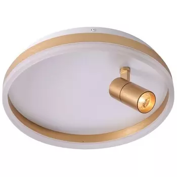 Потолочный светодиодный светильник круглый со спотом Zortes Raizy ZRS.1888.04