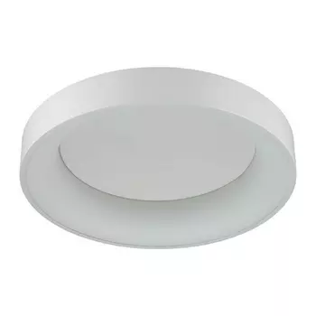 Потолочный светильник Odeon Light Sole 4066/40CL