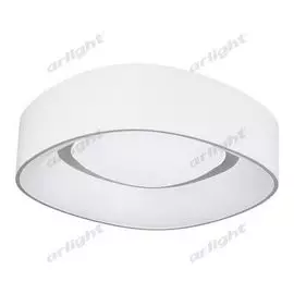 Потолочный светильник SP-TOR 22145 (Arlight)