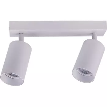 Потолочный светильник спот Brizzi Aras BR08083