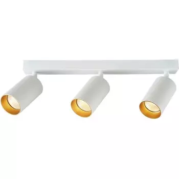 Потолочный светильник спот Brizzi Aras BR08088